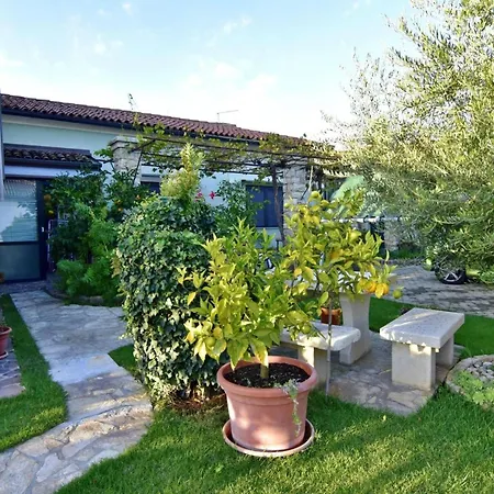 Comfy With Terrace And Bbq Umag